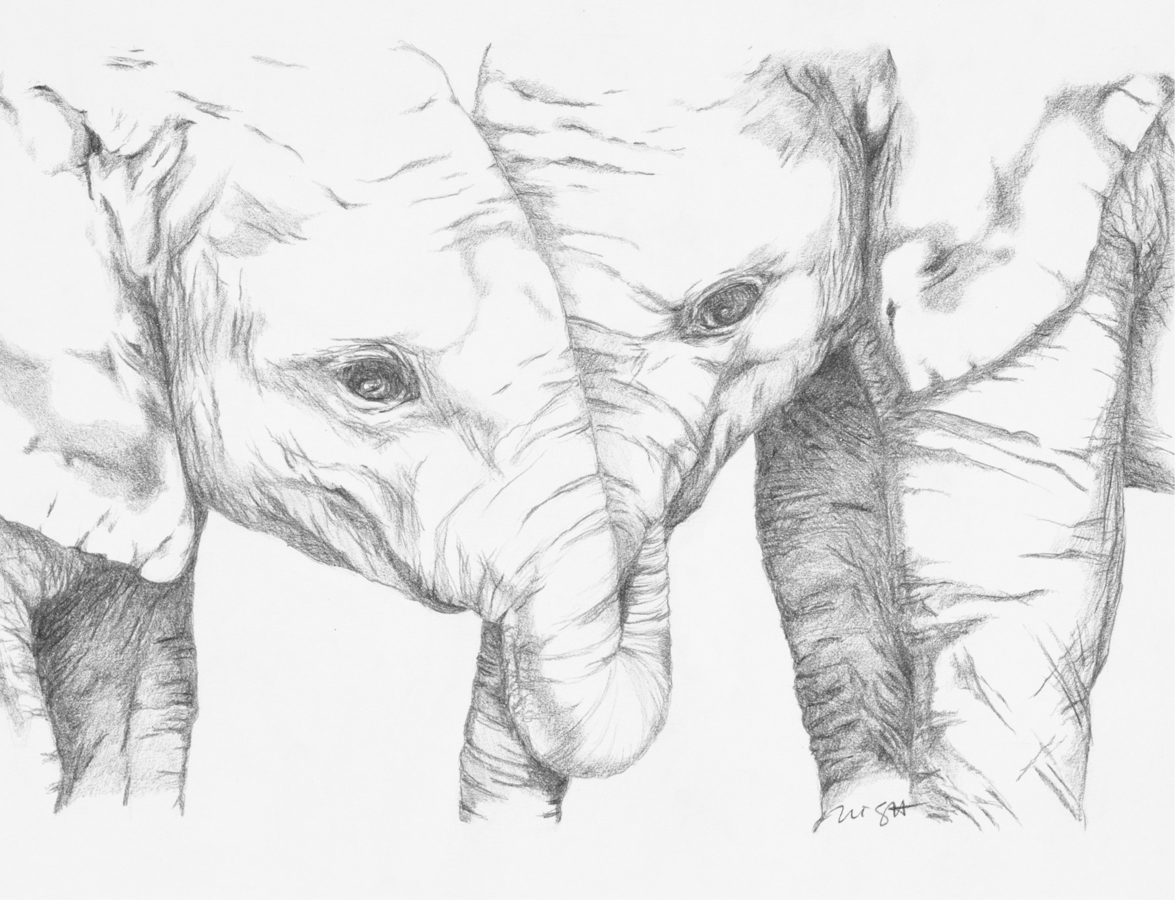Elephants by Ni Guttenfelder